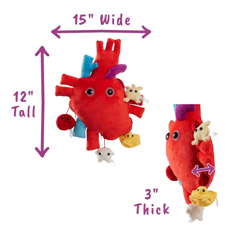 GIANT MICROBES Deluxe 15" Heart Plush, Blood Cells Stuffed Animal, Organ Transplant & Anatomical Heart Gifts, Cardiology Gifts - Image 4